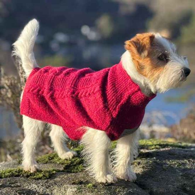 Hovedbilde 🐕Morild Bestevenn Genser S/30 cm med ...